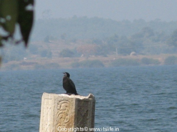 Gopalakrishna Temple, Kannambadi