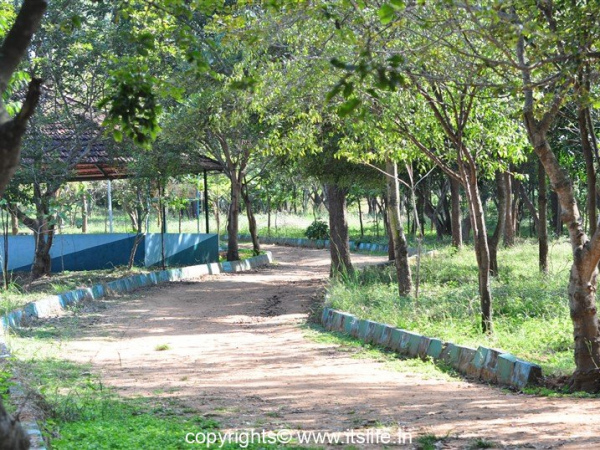travel-mysore-lingambudhi-lake-3
