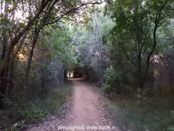 travel-mysore-lingambudhi-lake-4