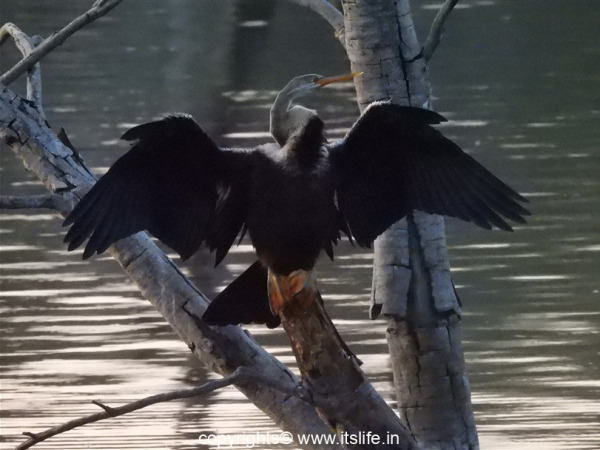 travel-mysore-lingambudhi-lake-5