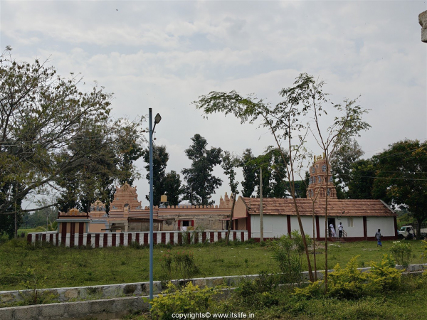travel-mandya-akkihebbalu-10