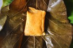 Jackfruit Idli