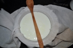 Curd Cheese