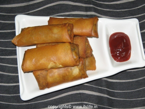 Sprout Spring Rolls