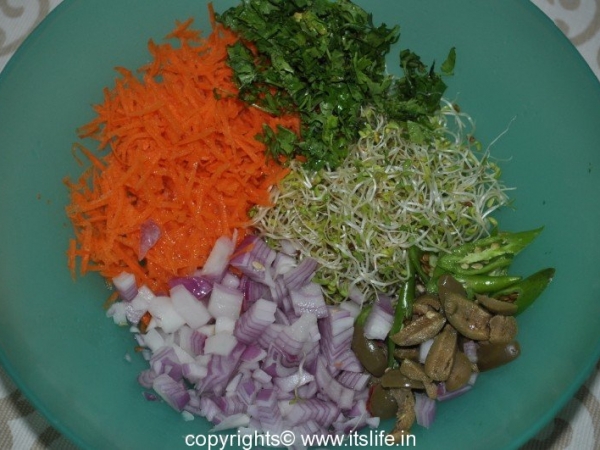 Alfalfa Sprouts Salad