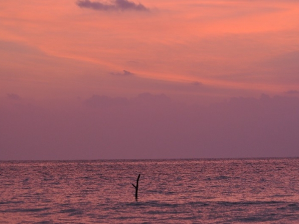 Vijaynagar Beach, Havelock Island