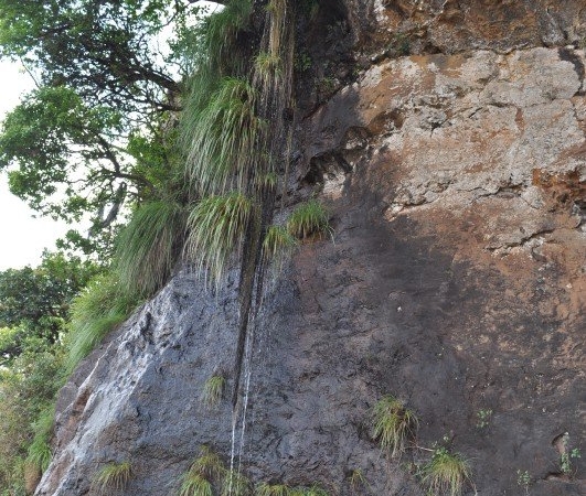 Manikyadhara Waterfalls