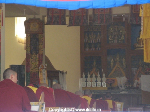 Gyudmed Monastic School, Gurupura
