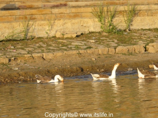 Garisisar lake - Rajasthan