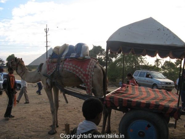 Types of Transport in Rajasthan