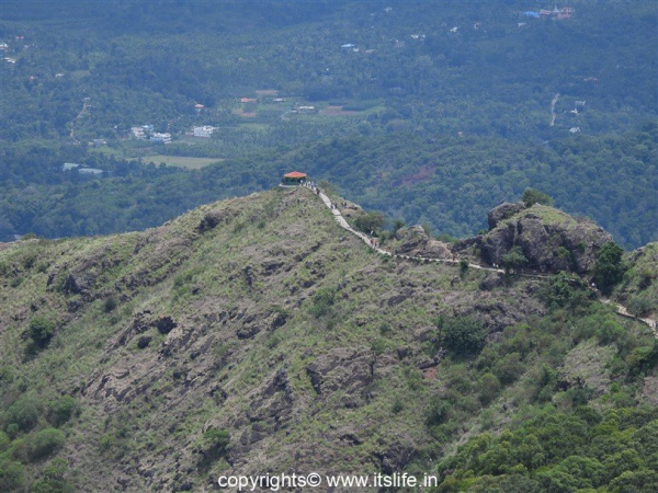 Needle Rock View Point