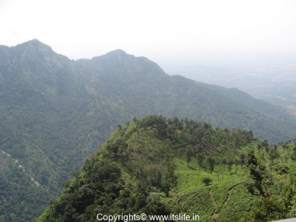 Dolphin\'s Nose view point, Coonoor
