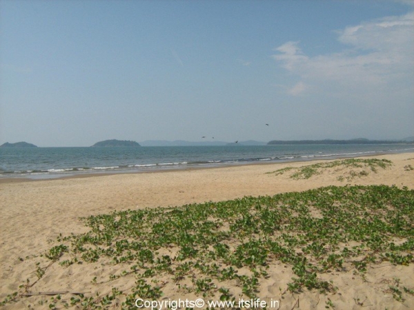 karwar beach