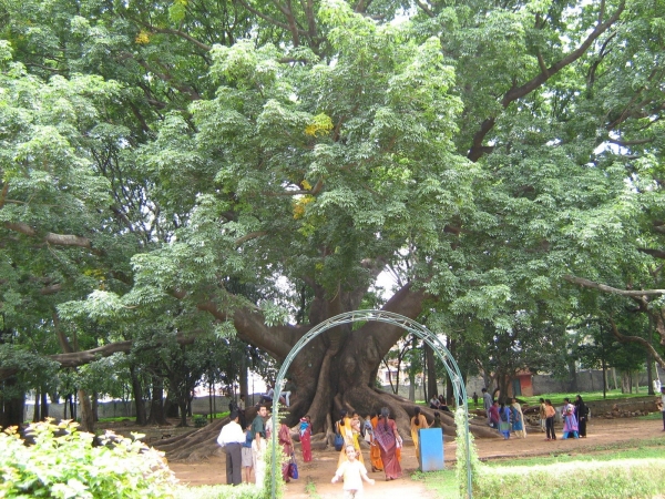 Lalbagh 1