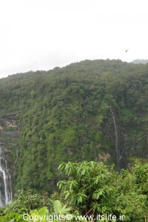 Mavina Gundi Water Falls