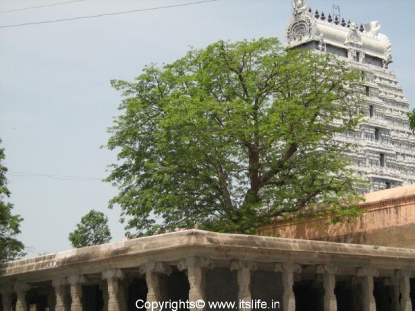 Annamalaiyar Temple, Thiruvannamalai