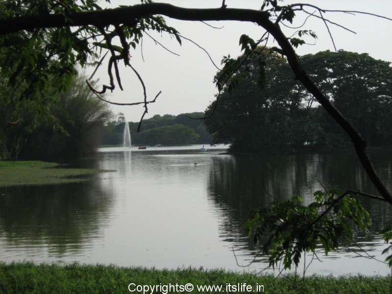 Karanji Kere Mysore | Lakes Butterfly Park | Karnataka