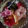 Festival dates in Jyaishtha month &ndash; June and July 2026