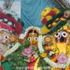 Lord Jaganath Rath Yatra