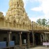 Cheluvanarayana Swamy Temple, Melukote