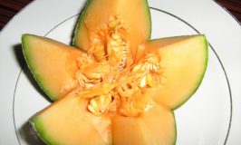 Musk melon flower