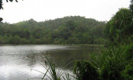 Pookod Lake - Pookot Lake