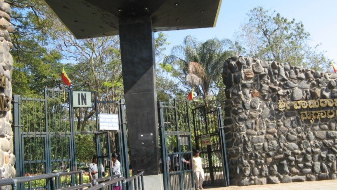Shri Chamarajendra Zoological Gardens, Mysore Zoo