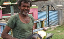 Coconut Vendor
