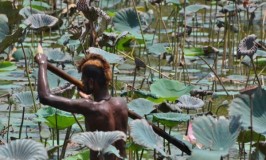 Got one life live in style