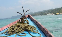 Life Photos - Anchor Me