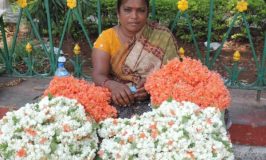 Flower Seller at Mysore