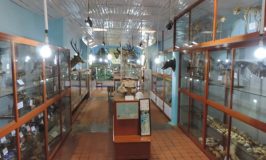 Shembaganur Museum of Natural History Kodaikanal