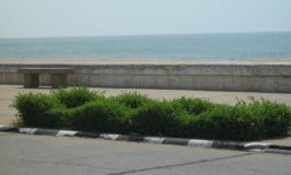 Pondicherry Promenade