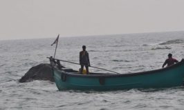 Fisherman Boat