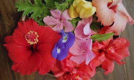 Festival Flowers Dec 2025