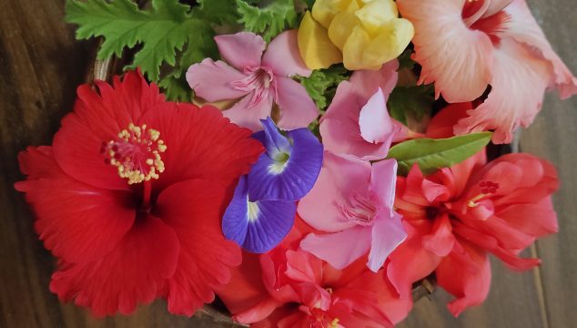 Festival Flowers Dec 2025