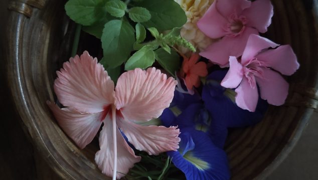 Festival Flowers Jan 2026