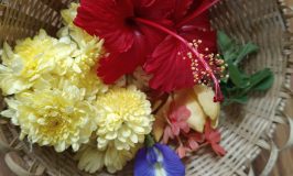 Festival Flowers Pushya