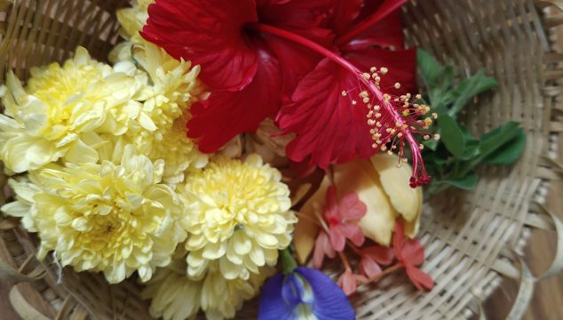 Festival Flowers Pushya