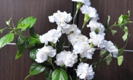 Flower arrangement - white bride