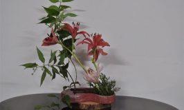 Flower arrangement - Windy