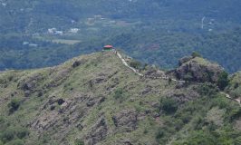 Needle Rock View Point