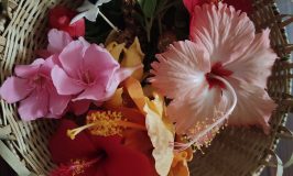 Festival Flowers Jyeshtha masa