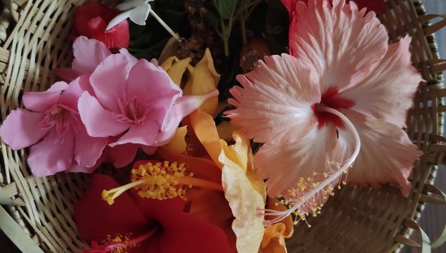 Festival Flowers Jyeshtha masa