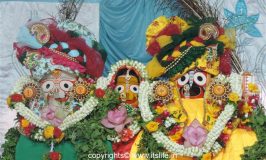 Lord Jaganath Rath Yatra