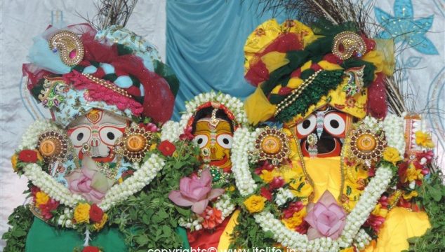 Lord Jaganath Rath Yatra