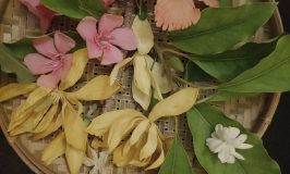 Festival flowers