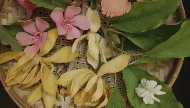 Festival flowers