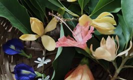 Festival flowers