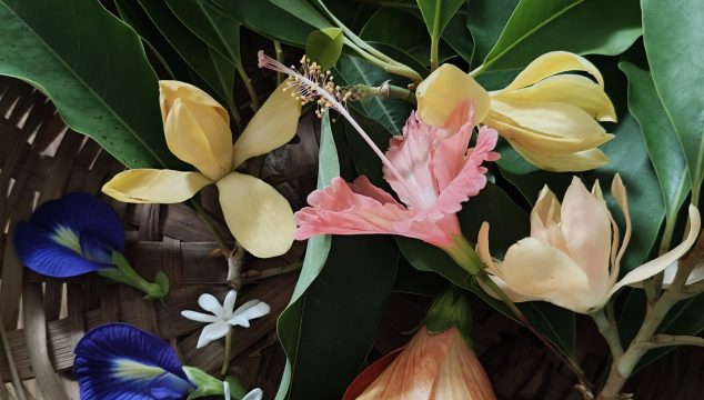 Festival flowers